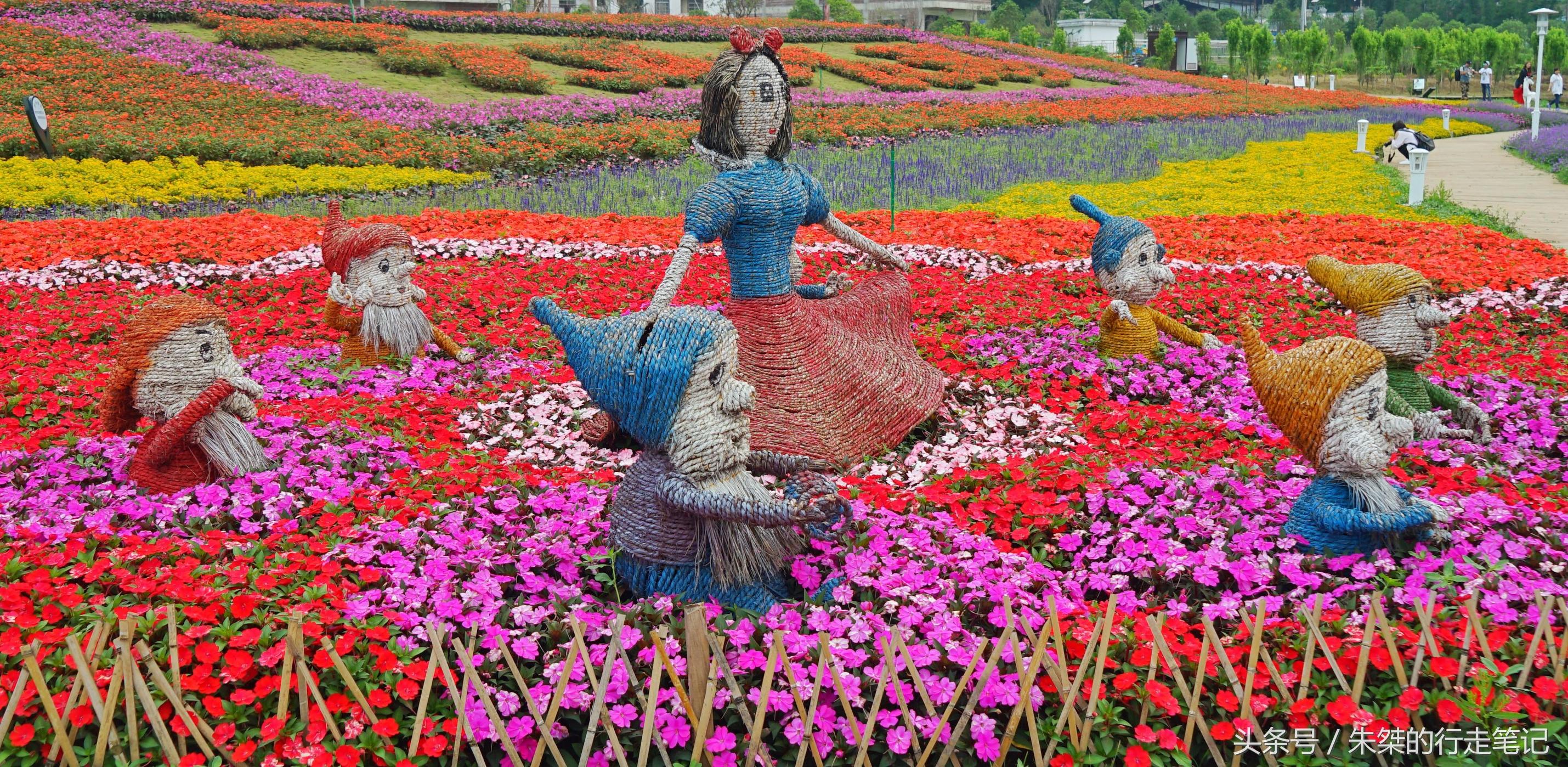 黄姚花海已经荒成草海,黄姚花海景区