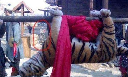 说抗日雷剧是要证据的，不合常理各种穿帮真的不怪观众吐槽