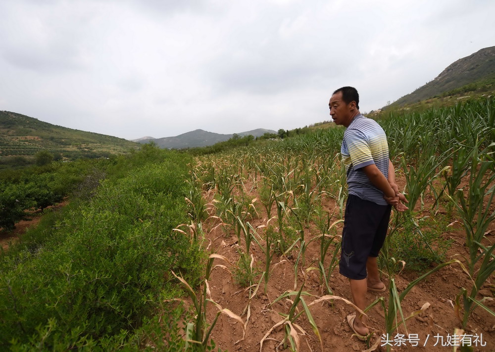 人活脸树活皮好不好,人活眉眼树活皮类似格言
