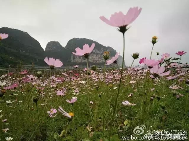 上林旅游有什么好玩的地方,上林好玩地方攻略必去景点