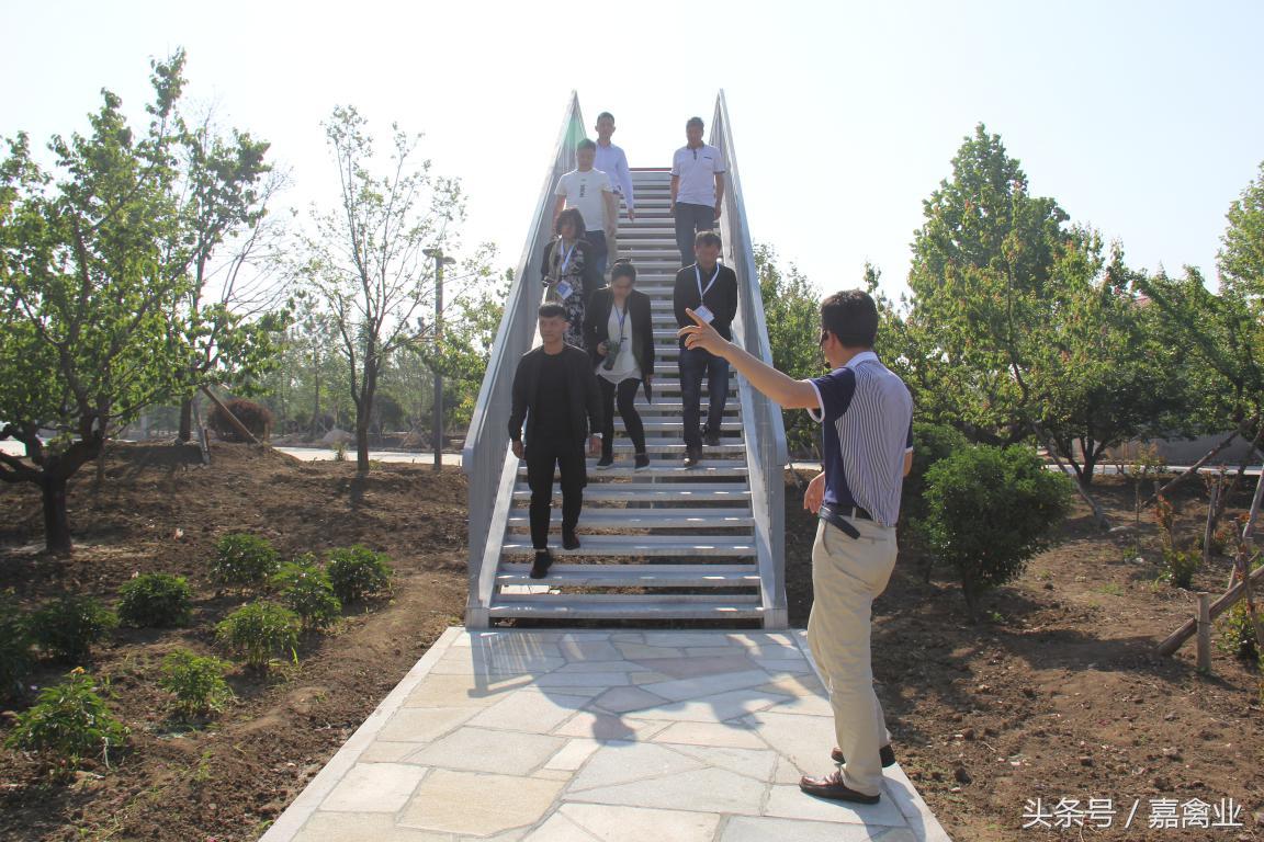 田瑞，温柔了养鸡岁月，雕刻了奋斗时光