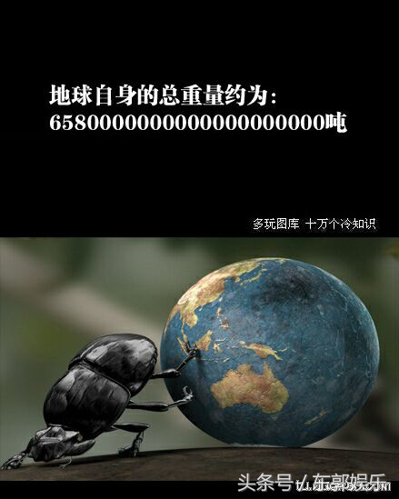 11条冷趣味的冷知识,史上最有意思的冷知识大全