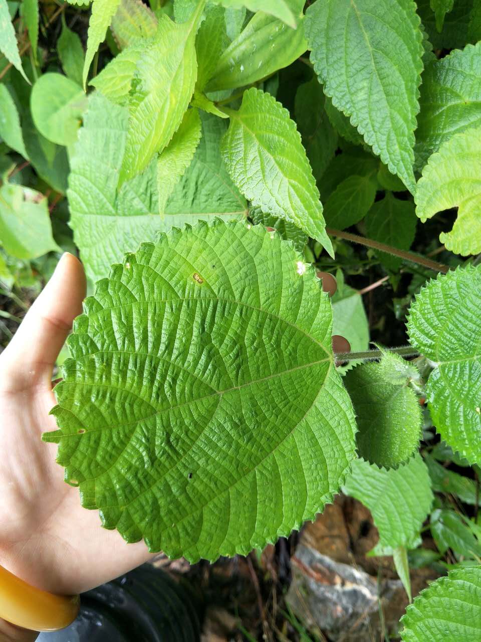 一路山水一路歌完整版,一路山水一路歌歌词