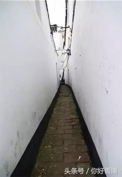 朱家角最美的地方,朱家角真是静心的好地方