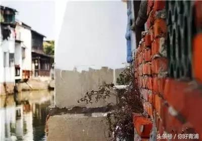 朱家角最美的地方,朱家角真是静心的好地方