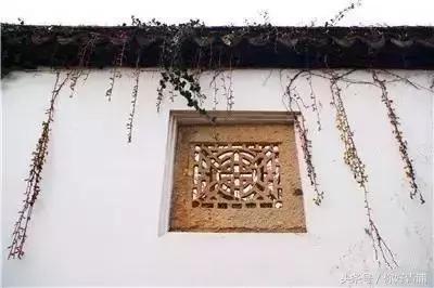 朱家角最美的地方,朱家角真是静心的好地方