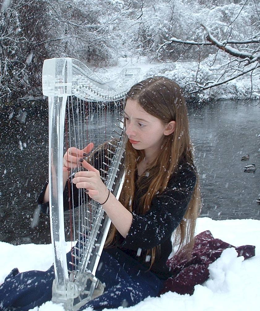 关于新手怎么练竖琴,想学竖琴的五大禁忌