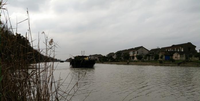 有毛不算秃含义,有毛不算秃怎么回复