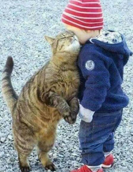 愿你与这世界温暖相拥经典语录,一句简单温暖人心的话