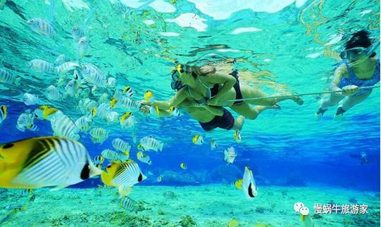 丽贝岛5天攻略,丽贝岛值不值得去