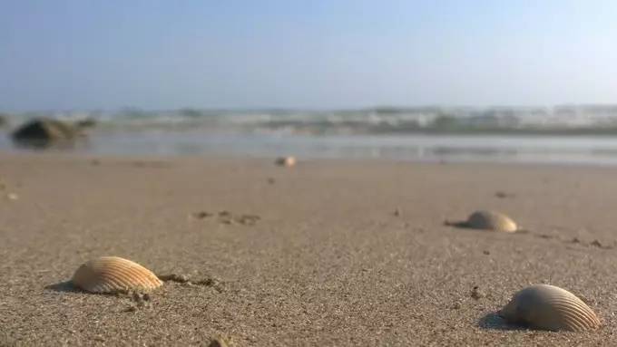 鍘绘嘲鍥芥姢鐓у拰鏈虹エ灏辫浜嗗悧,鍘绘嘲鍥界璇佸拰鏈虹エ