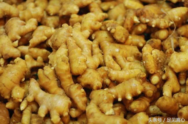 吃生姜片有什么功效,吃醋泡生姜的功效与作用