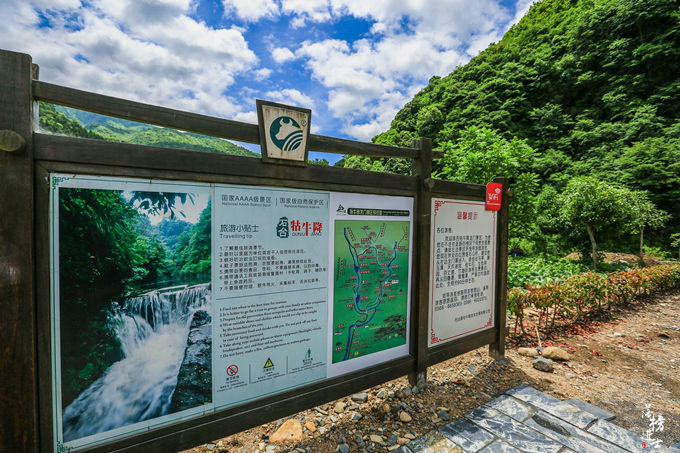 哪儿有原始森林拍照的景区,冬天适合拍照的原始森林