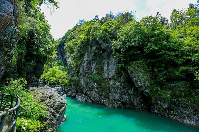 哪儿有原始森林拍照的景区,冬天适合拍照的原始森林