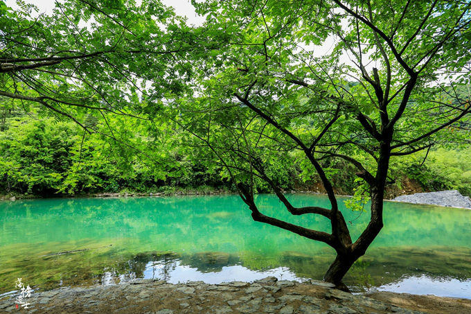 哪儿有原始森林拍照的景区,冬天适合拍照的原始森林