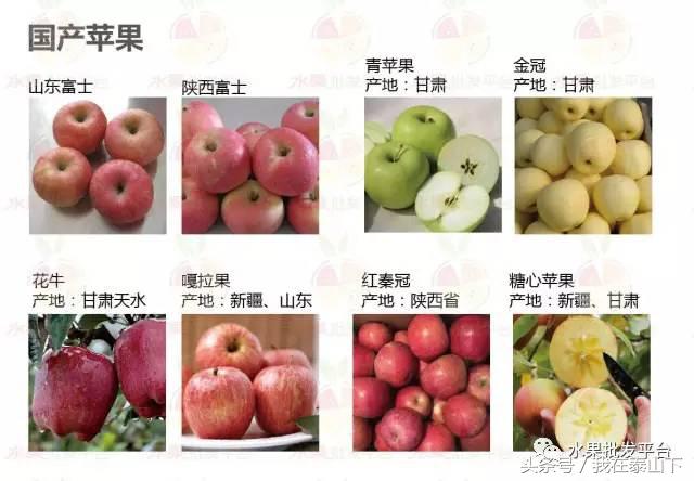 水果分类分为哪几类,超市水果分类表一览表