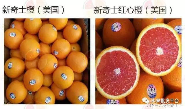 水果分类分为哪几类,超市水果分类表一览表