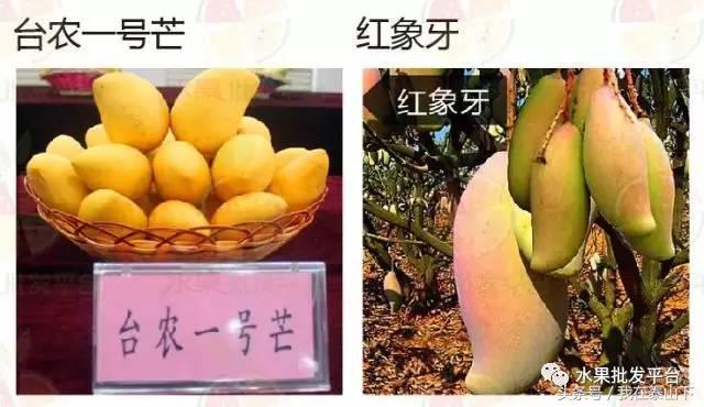 水果分类分为哪几类,超市水果分类表一览表