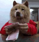 柳州平均工资公布时间,柳州最新的平均工资是多少