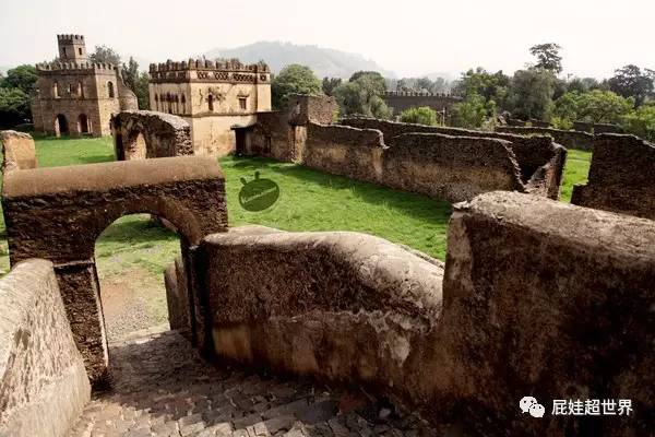 一天之内连开两条国际航线成都直飞非洲大陆往返1450元啦!