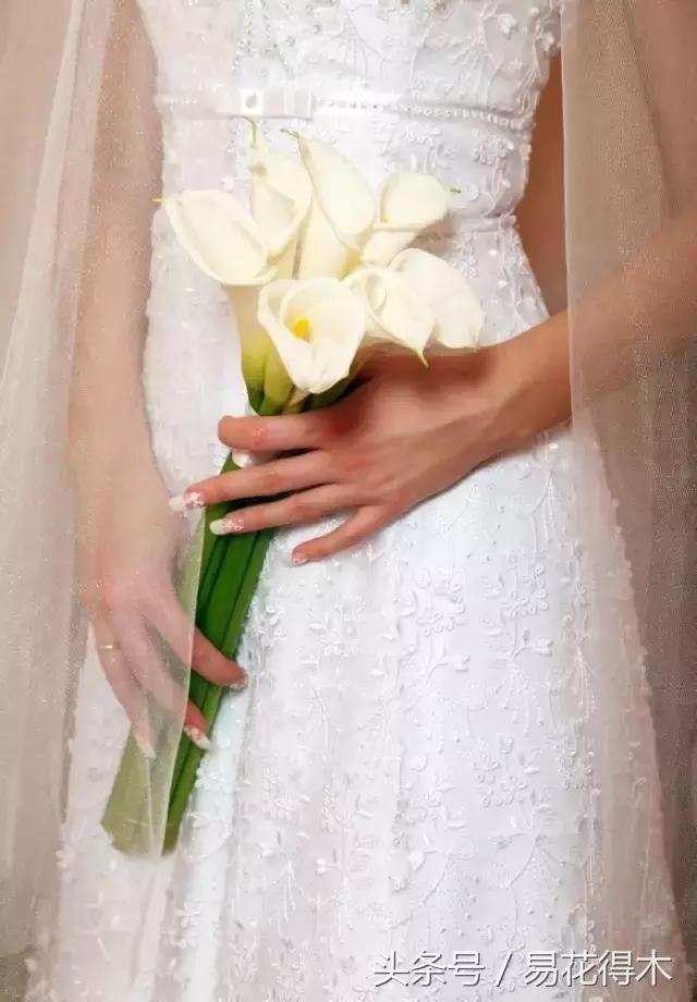 如何才能让马蹄莲复花,马蹄莲什么时候休眠什么时候开花