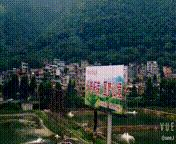 茶旅｜温润如水仙，会是你生活中的日常