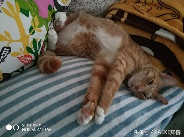 小米6还值得买吗,小米6目前还值得入手么