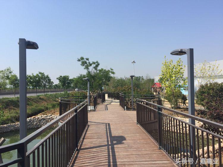 田瑞，温柔了养鸡岁月，雕刻了奋斗时光