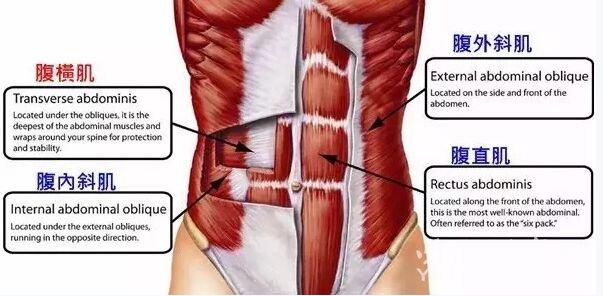 没有腹肌线的男生如何练腹肌,男生一定要有腹肌才有马甲线吗