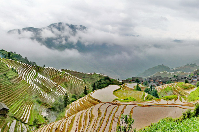 <html>
<head><title>502BadGateway</title></head>
<body>
<center><h1>502BadGateway</h1></center>
<hr><center>nginx</center>
</body>
</html>
<!--apaddingtodisableMSIEandChromefriendlyerrorpage-->
<!--apaddingtodisableMSIEandChromefriendlyerrorpage-->
<!--apaddingtodisableMSIEandChromefriendlyerrorpage-->
<!--apaddingtodisableMSIEandChromefriendlyerrorpage-->
<!--apaddingtodisableMSIEandChromefriendlyerrorpage-->
<!--apaddingtodisableMSIEandChromefriendlyerrorpage-->
