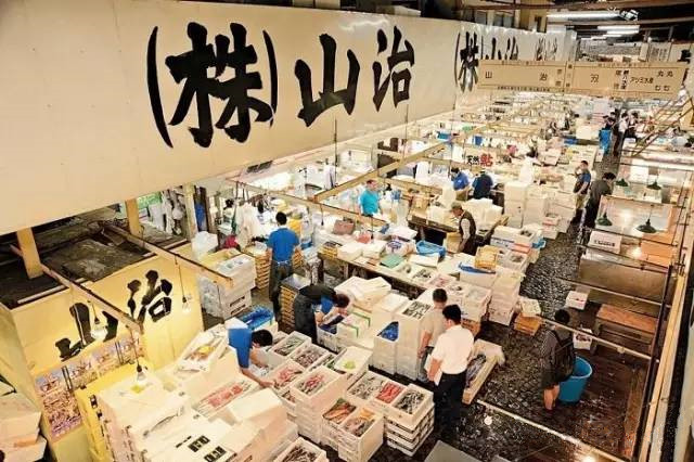 东京真的太好玩了,东京亲子自由行攻略