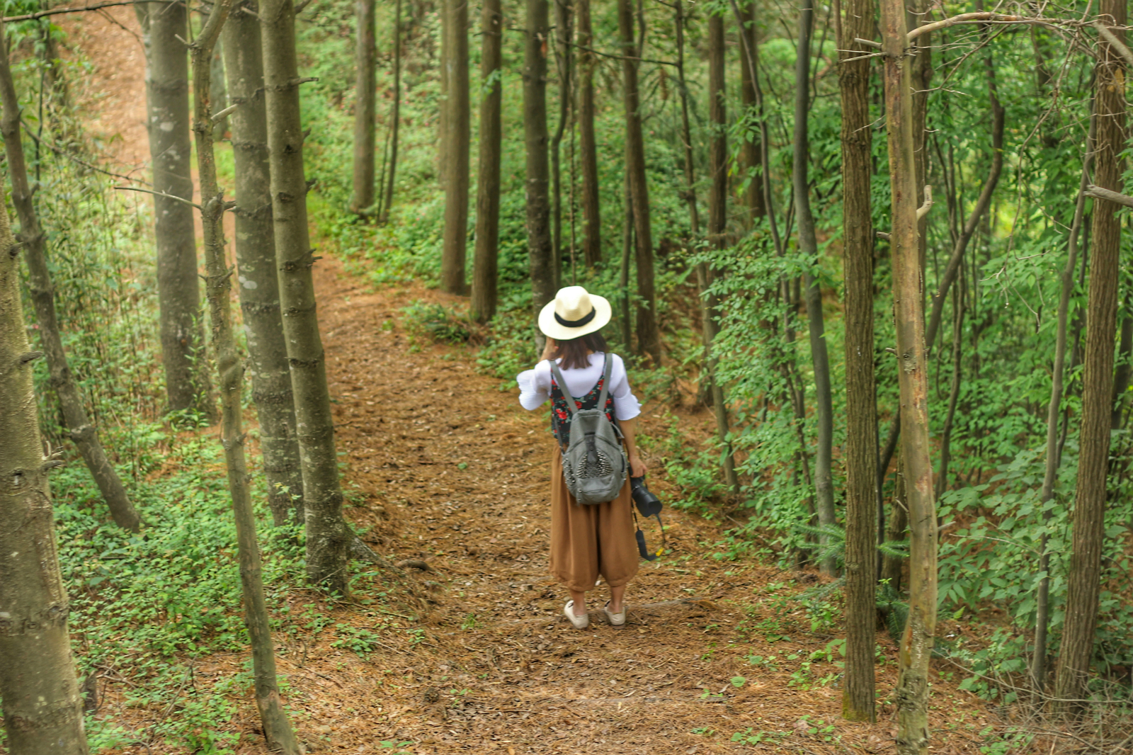 女皇故里英语怎么说,女皇故里文化内涵是什么