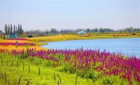 这是我的家乡内蒙古,内蒙古美丽的巴彦淖尔