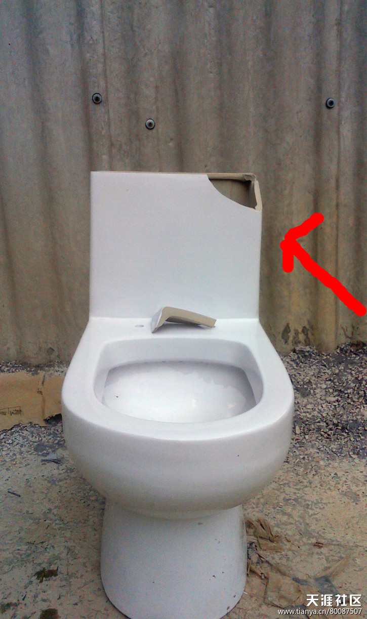 热门话题马桶,有关马桶的话题