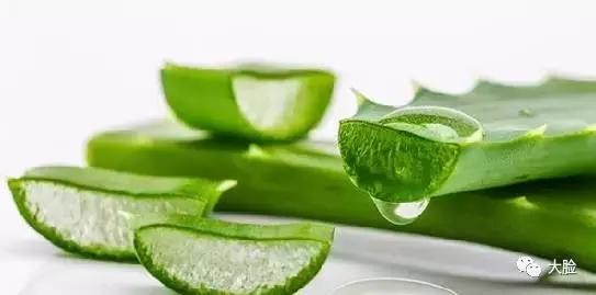 芦荟排毒减肥食谱,芦荟怎样做才减肥