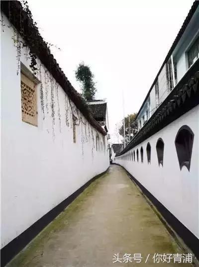 朱家角最美的地方,朱家角真是静心的好地方