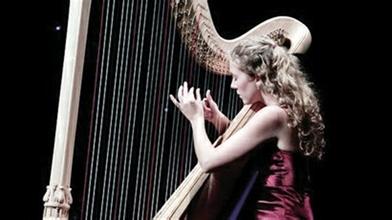 关于新手怎么练竖琴,想学竖琴的五大禁忌