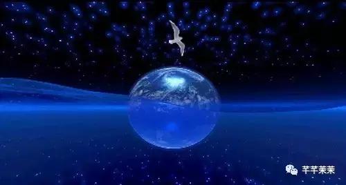 微商出名人物,微商界知名人物