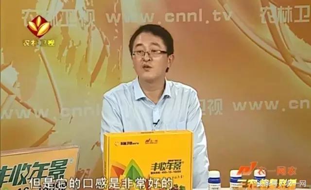 植保专家魏明:一堂讲课引发的一次远行