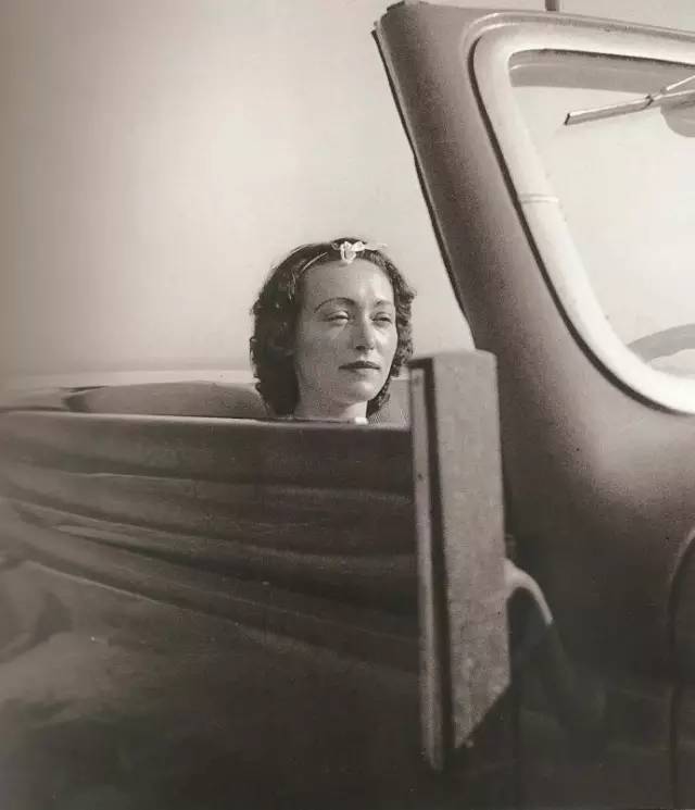 《锦灰堆美人计》它是你不用下山就能看到的莲花|纯粹新书