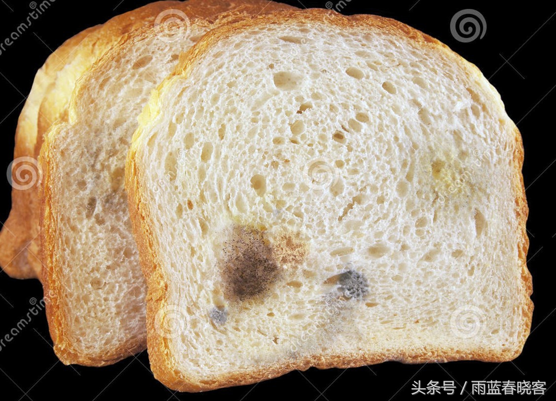面包发霉还能吃吗,吃了一块发霉的面包怎么办