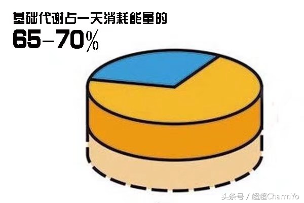 健身热量计算app,健身增肌热量计算