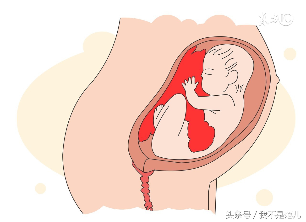 女人孕期精神状况,孕期各个阶段表现