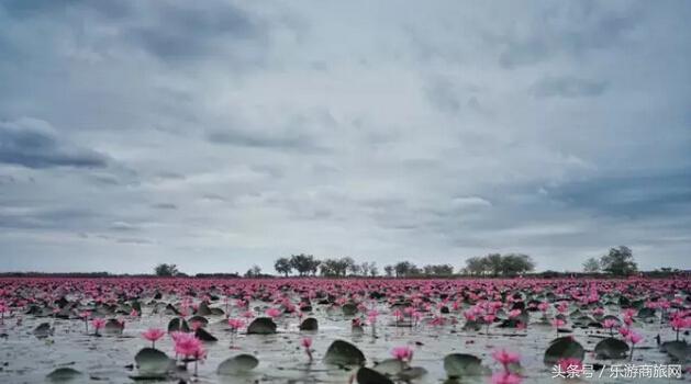 清迈小众私藏攻略,清迈旅行必备