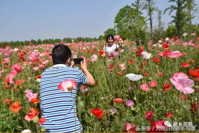 总理牵挂的这件事儿，看看封丘干得咋样