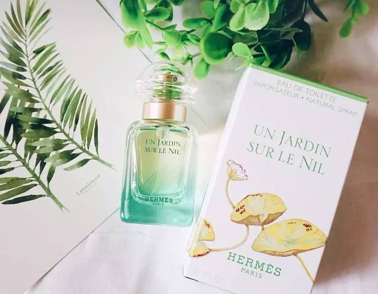 欢乐颂五美形象分析,欢乐颂五美的房间装饰