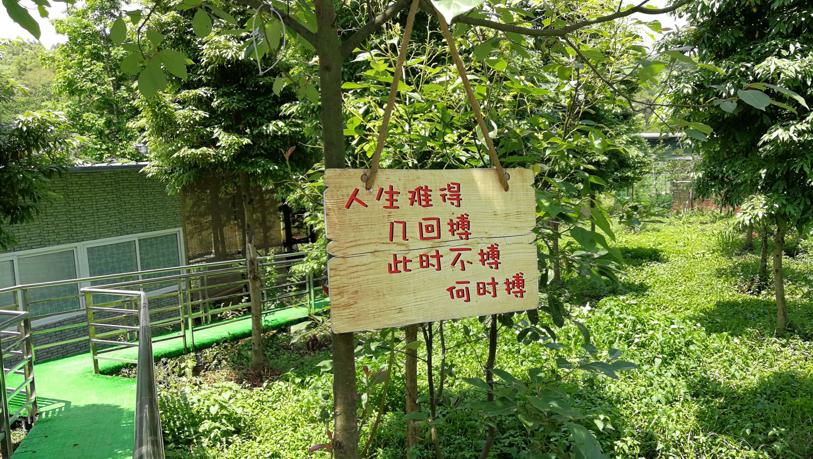 骑行重庆最美乡村,农村最美山村骑行视频