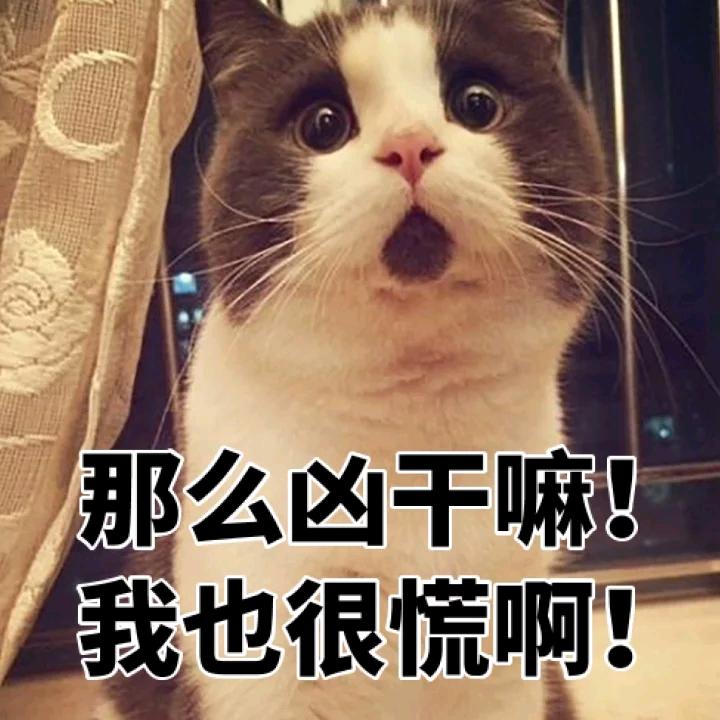 我有一个大胆的想法，老司机请刷卡上车