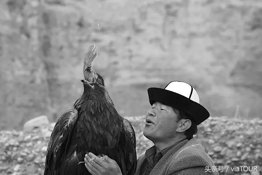 途迹｜克尔克孜猎鹰的故乡
