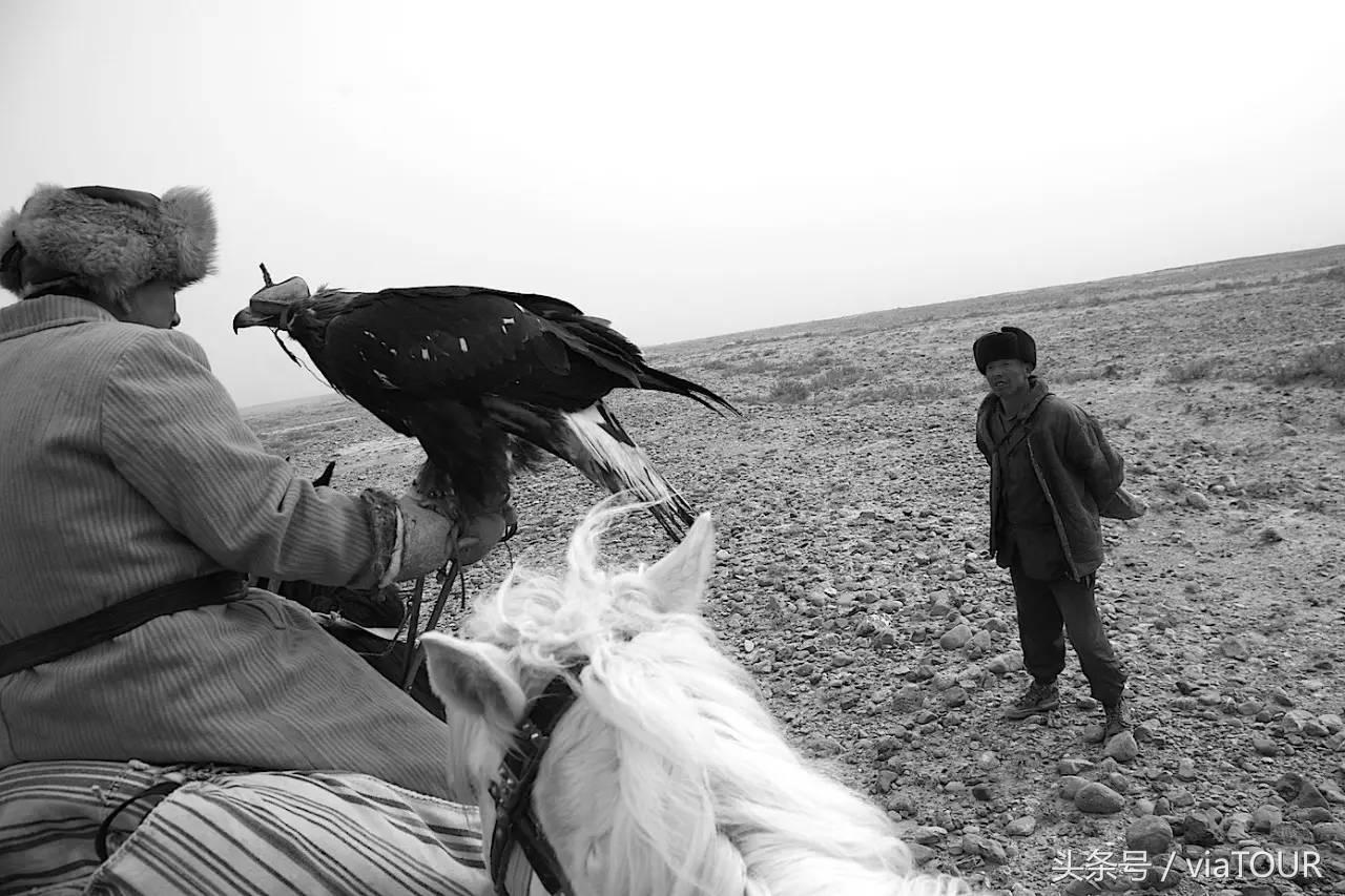 途迹｜克尔克孜猎鹰的故乡